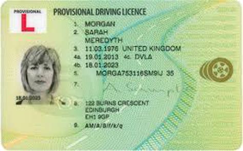 Provisional Drivers License 